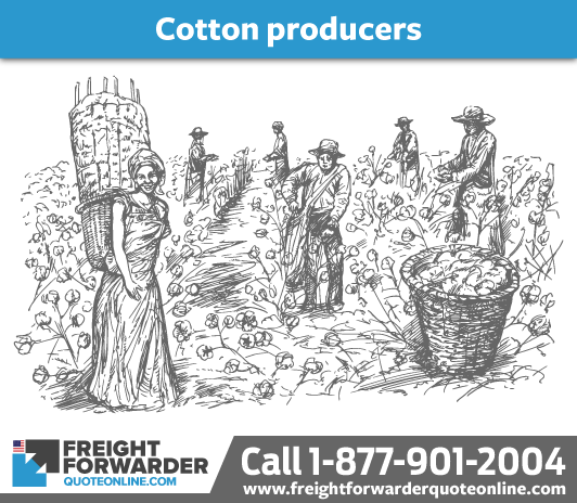 The catalyst of protectionism - cotton producers of the north and south